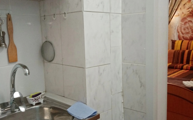 Komfortnaya Studiya V Chastnom Domovladenii Vozle Vokzalov Flat