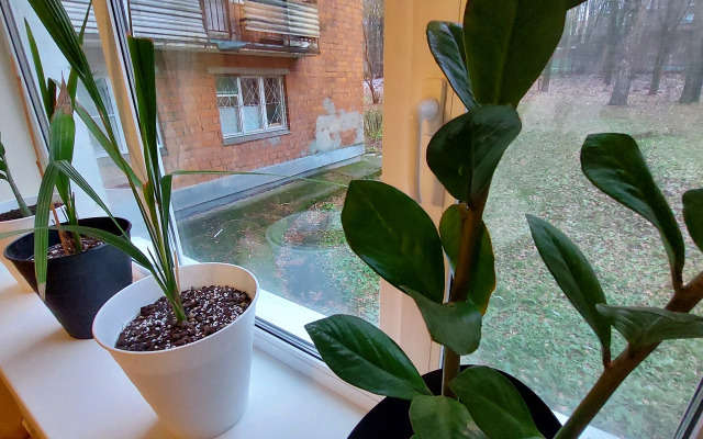 Квартира Обсидиан