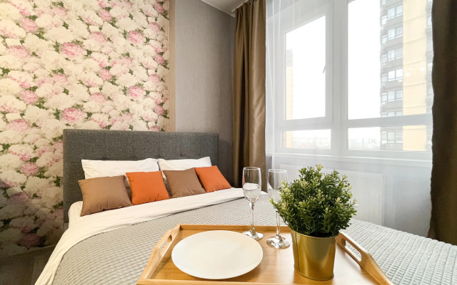 Na Larina Serdtse Rostova 2 Apartments