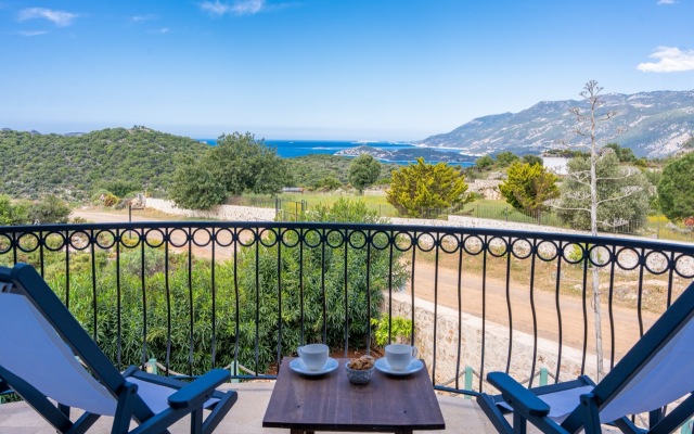 Lacitrus Villa Hotel