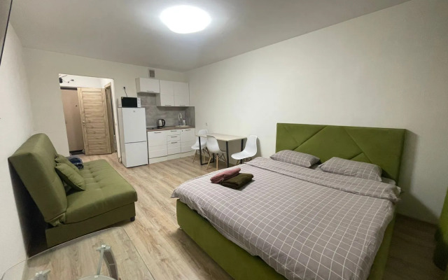 Studiya Sputnikov 16/4 Zhk Koltsovskiy Dvorik Flat
