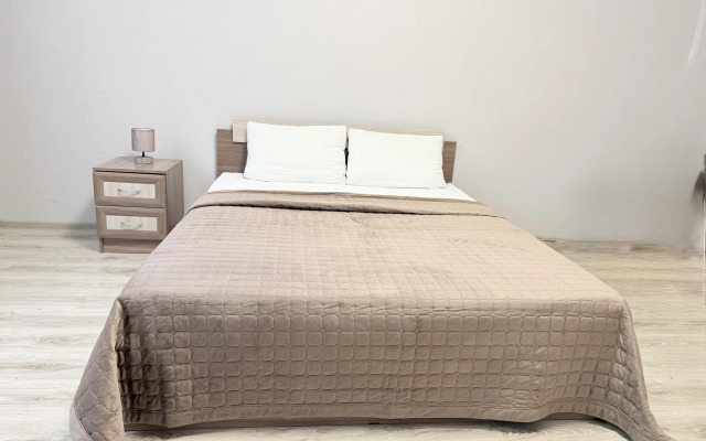 Апартаменты Гагарина 55А