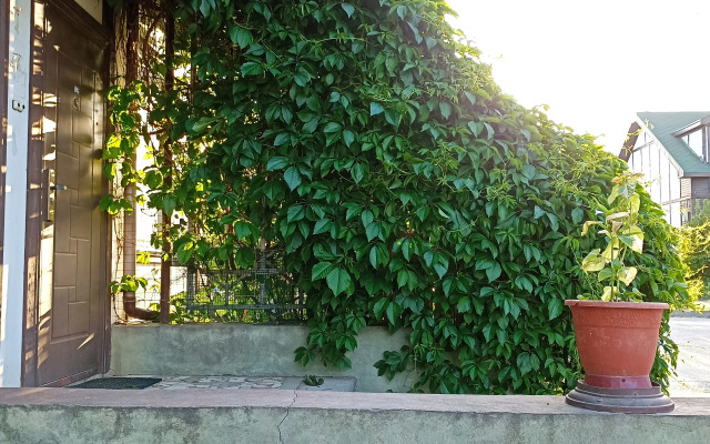 Oschuschenie Provansa V Tsentre Volgograda Flat