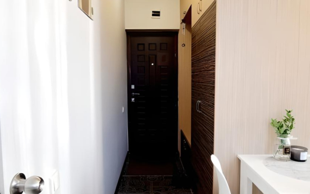 Апартаменты Студия на Соболевке