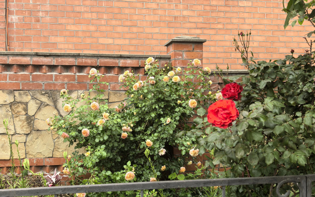 Na Pryamoi Guest House