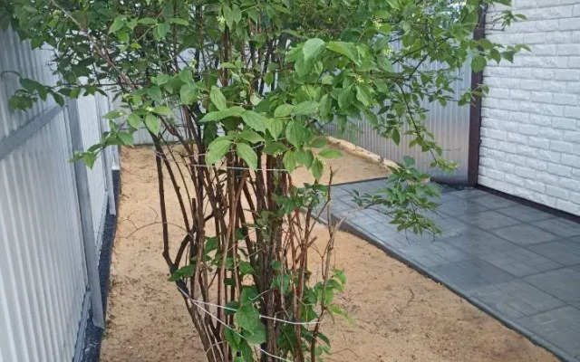 Частный дом на Пушкинской 38