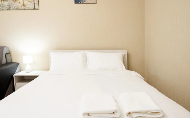 Апартаменты Квартира Художника