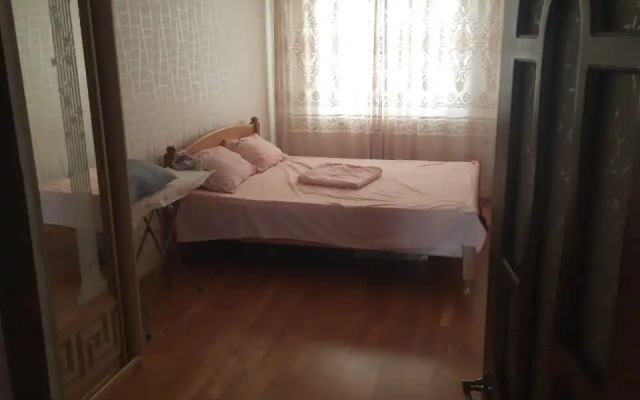 Delfin Spb Flat