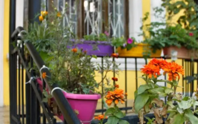 Colors Hostel