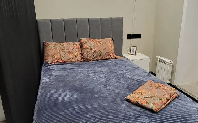 Апартаменты на Виля Липатова 13