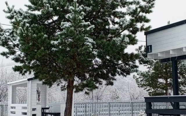 База отдыха Черника