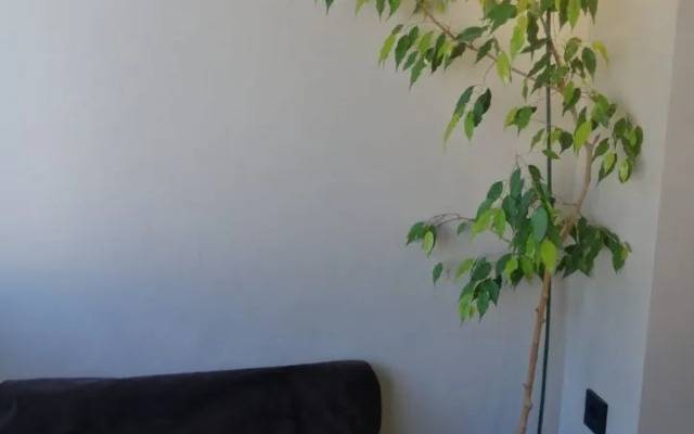 Квартира Единственная с хамaмом