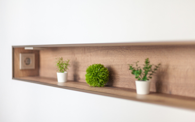 Апартаменты Капитал