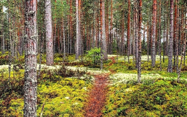 Частный дом в Терву