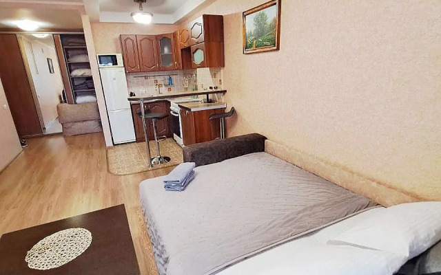 Квартира Уютная студия у Парка Масленникова 72, стадион Красная Звезда