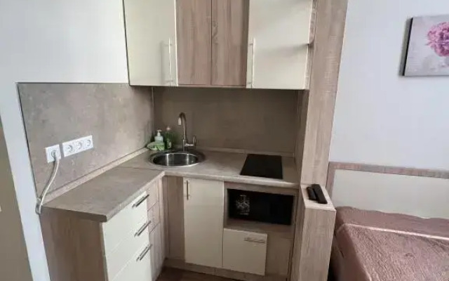 Sakvoyazh Apartments 2