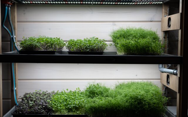 Отель Загородный клуб Любытино Хутор