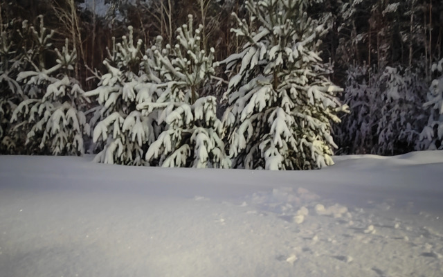 Шале Evropa Dream