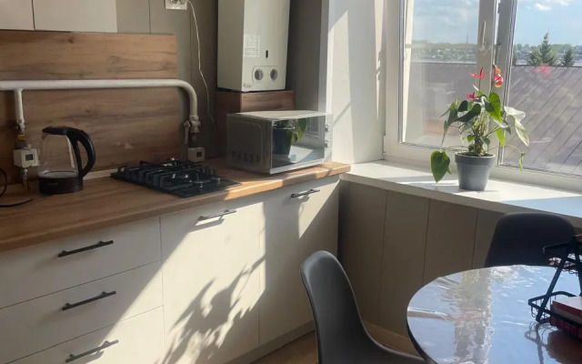 Kvartira Ostrovskogo 52 Flat