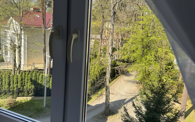 Квартира в центре Светлогорска