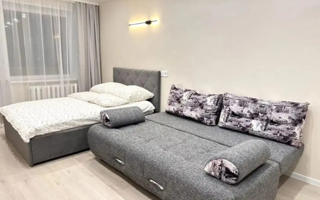 Квартира Однушка на Гузовского 30