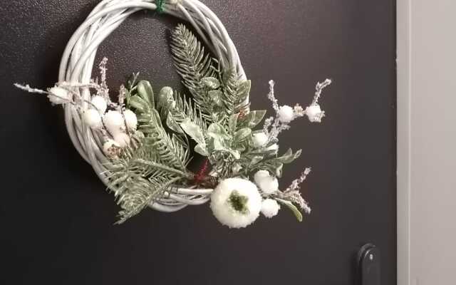 Апартаменты на Толстого 2