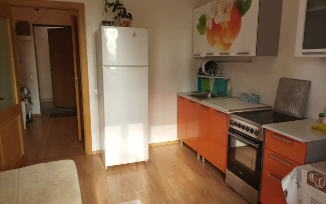 Zhilye u Metro Flat