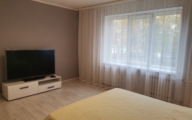 V Kaliningrade Apartments