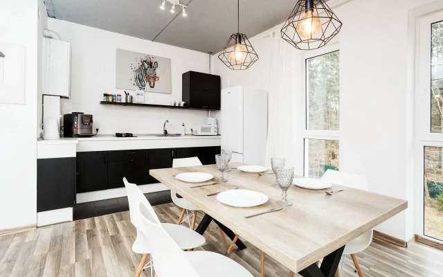 Апартаменты Loft