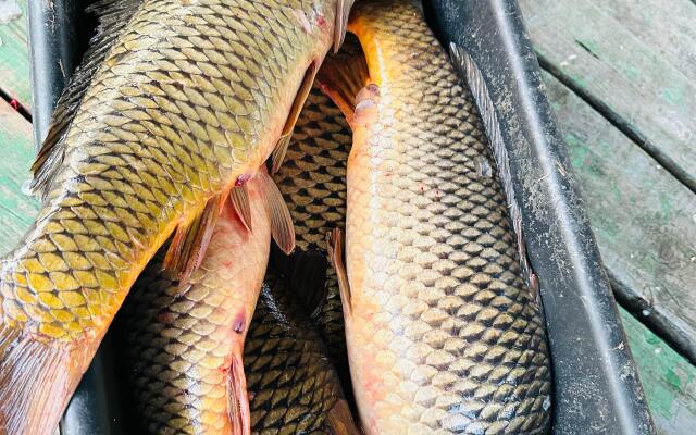 Отель Клевое место