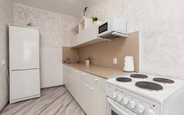 Uyutnyie Na Ligovskom Apartments