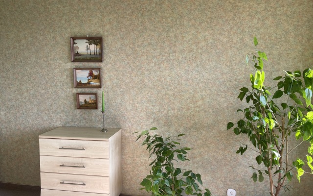 Апартаменты На Старо-Прегольской Набережной 14