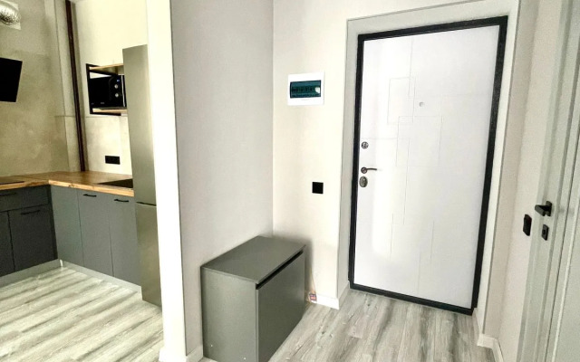 Квартира с лоджией в Пионерском