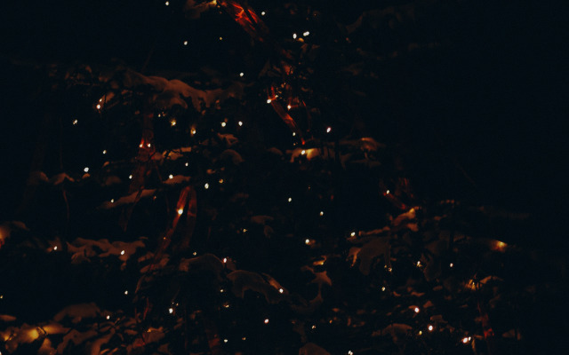 База отдыха Апарт-бутик Альпака