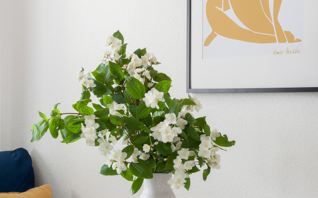 Апартаменты Квартира в 20 минутах от центра