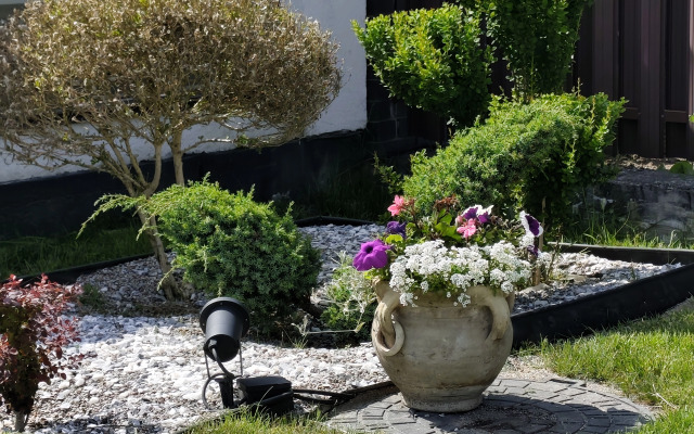 S Launzh Zonoy, Barbekyu I Baney Guest House
