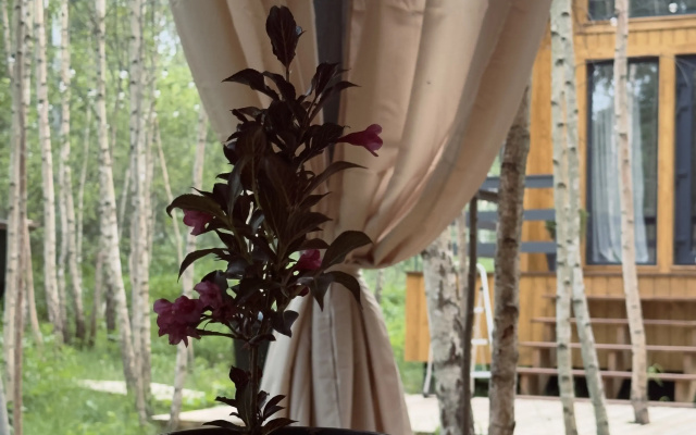 Sale v Stile Barn Vblizi Reki Dnepr