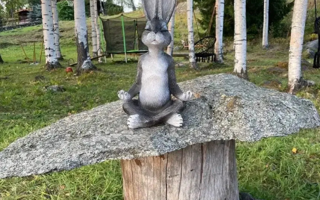 Гостевой дом Karjala Apartments