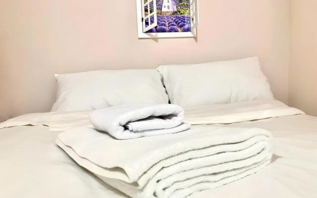 Меблированные комнаты Уютный эконом-отель у Трёх вокзалов