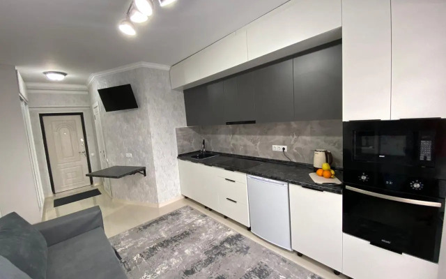 Best House Almaty Flat