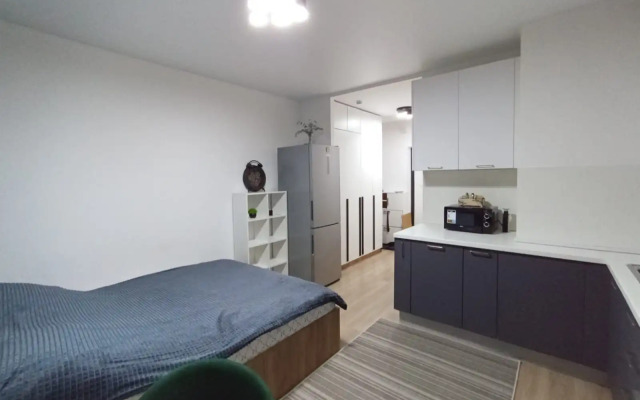 Квартира Уютная студия