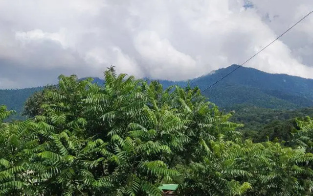 Гостевой дом Удачный, Гузерипль