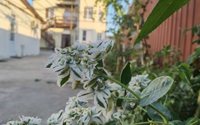 V Gostyakh U Skazki Vityazevo Guest house