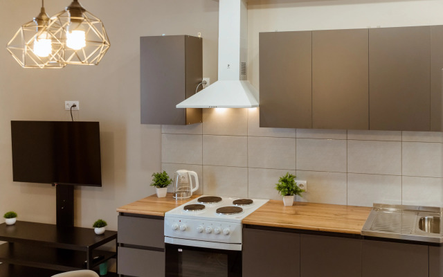 Sas 1-K Dykhanie Zemli Apartments