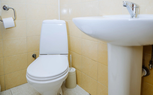 Pavel&Olga Wonderful Duplex in the center of Pskov Apartments