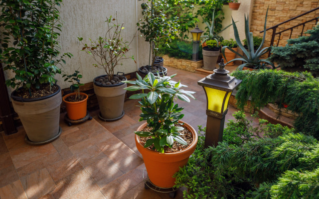 Loris Guest House
