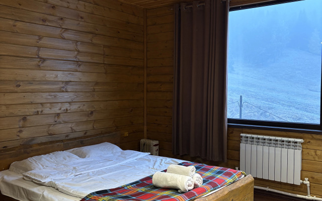 Resort Ski Park Pioneer