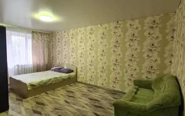 Апартаменты Чкалова 14