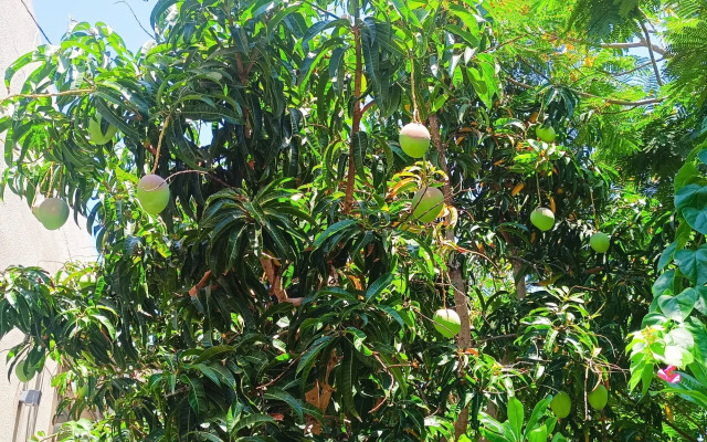 Вилла Cam Ranh Beach