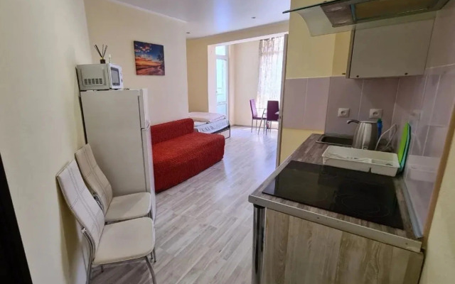 Krokus V Samom Tsentre Sochi Flat